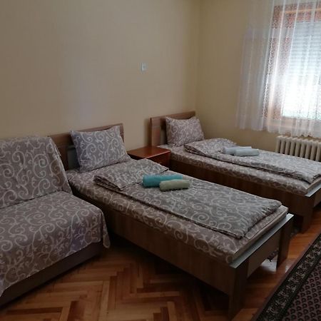 Vila Marko Niska Banja Εξωτερικό φωτογραφία