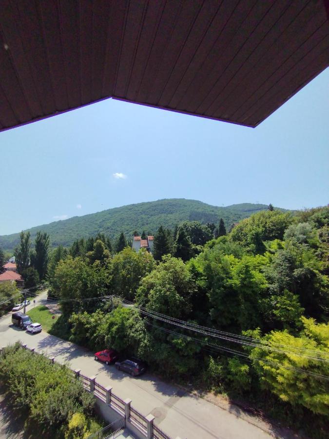 Vila Marko Niska Banja Εξωτερικό φωτογραφία