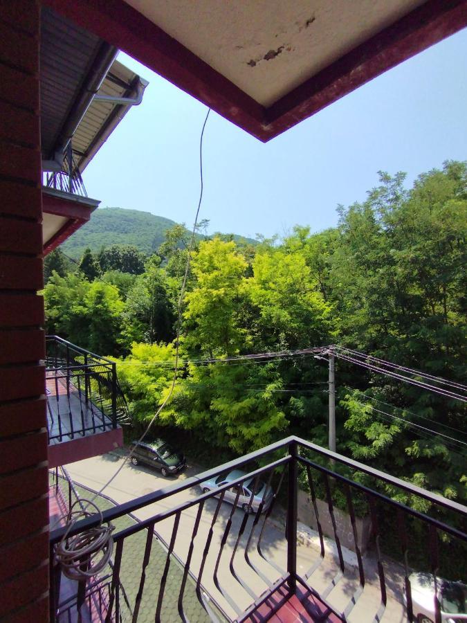 Vila Marko Niska Banja Εξωτερικό φωτογραφία